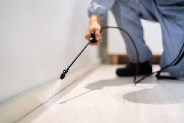 Licensed Cockroach Control service in Indiana, PA - Nex Pest Control